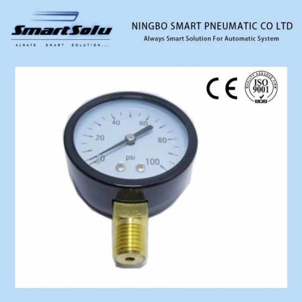 Kalite presyon 50mm Nwa Steel Ka 1/4 Koneksyon NPT 60 PSI Wotè Tcheke