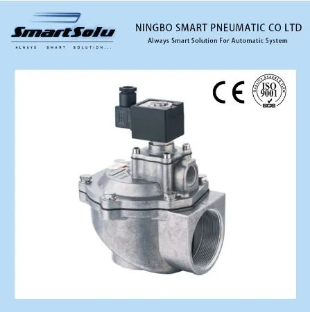 Double Diafragm Embedded Solenoid pulse Valve AC220V